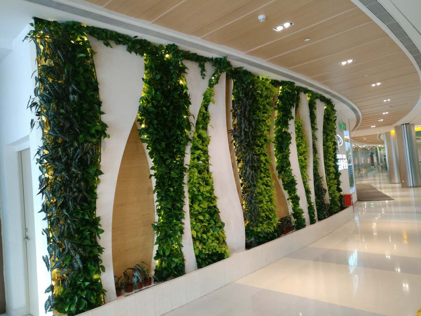 第138届广交会首波推介深耕亚太 多国联动织密中外贸易纽带