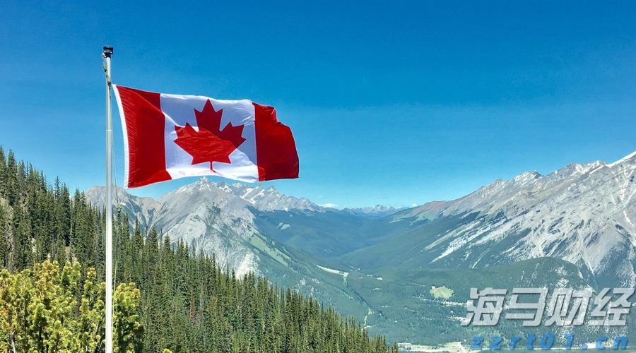 “我们自己设计组装了一套新设备”