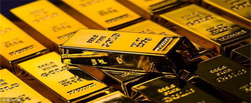 港北区：精准招商引“活水”  高效服务促投产