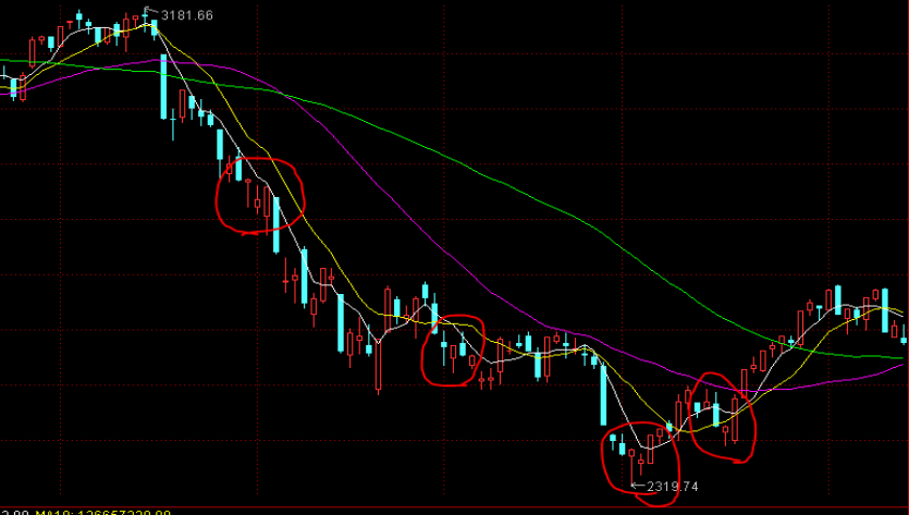 贵港市人民代表大会常务委员会关于接受蒋建伟辞去贵港市监察委员会主任职务请求的决定