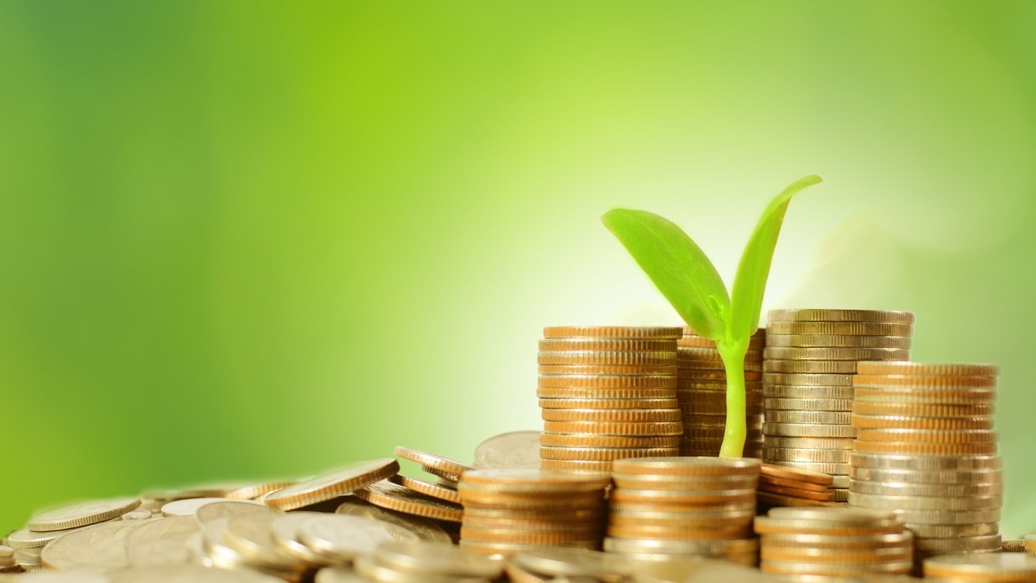 与珠海的浪漫撞个满怀 国潮+集市！就在日月贝！活动持续至8月31日