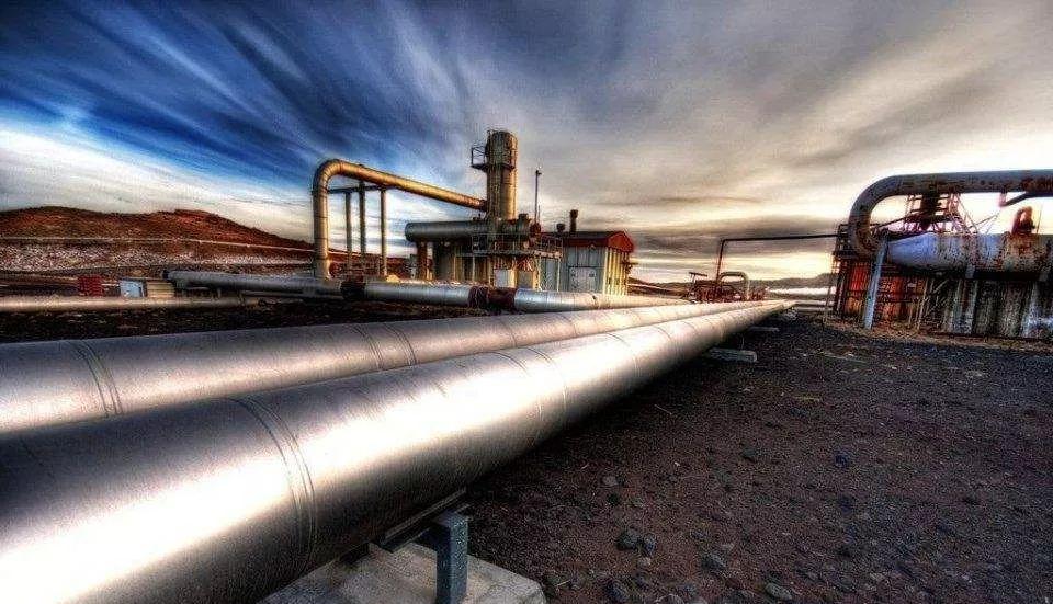 我市举办第五届“荷城金韵”文化活动